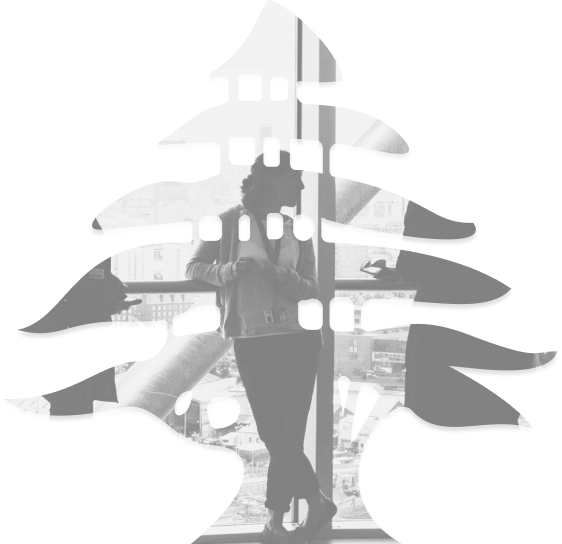 Bienvenue-sur-le-site-Levantin-Solutions-Assurances